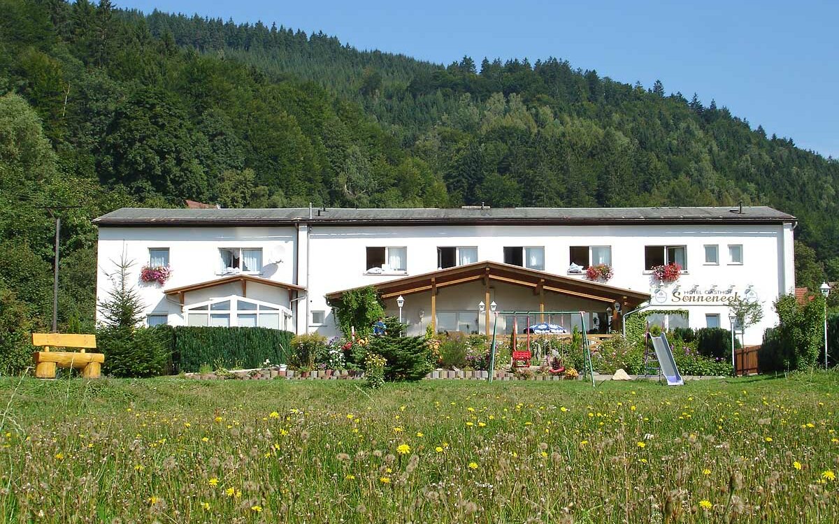 Hotel-Gasthof-Sonneneck-Theuern-Panorama