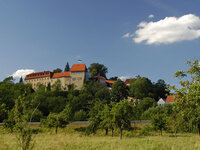 Blick auf die Creuzburg