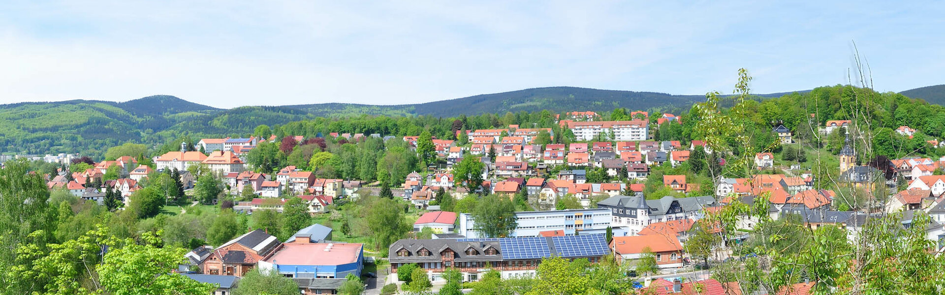 Zella-Mehlis-Panorama