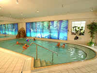 Pool im Aparthotel Am Rennsteig