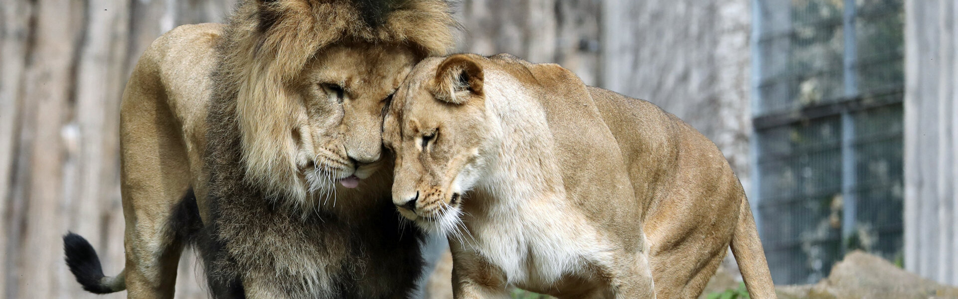 Thüringer Zoopark Erfurt