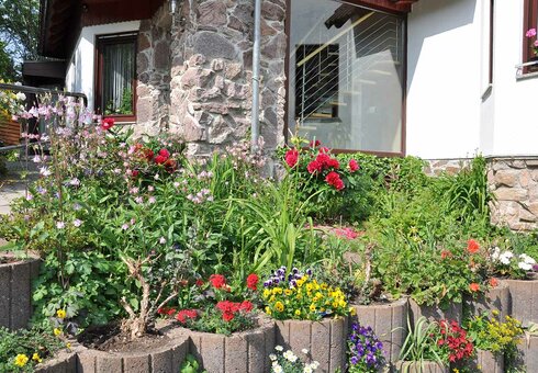Blütenpracht vor dem Haus Schmiechen