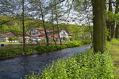 Hotel-Der-Distelhof-Dillstaedt Hotel-Der-Distelhof-Dillstaedt